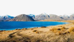 新西兰白鹭湖十一素材