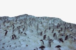 南极的雪著名南极景点高清图片
