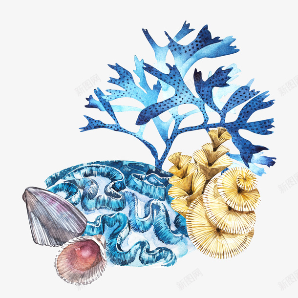 卡通手绘海草珊瑚png免抠素材_新图网 https://ixintu.com 创意 动漫动画 卡通手绘 珊瑚 简约 蓝色的海草