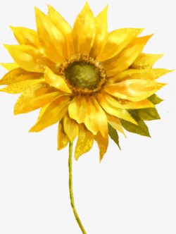 黄色水墨向日葵花朵素材