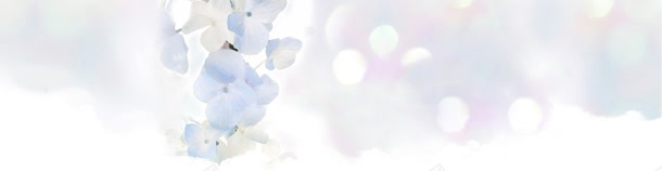 淘宝背景jpg设计背景_新图网 https://ixintu.com banner 淘宝广告 田园风 花墙