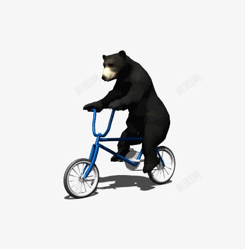 大黑熊骑车png免抠素材_新图网 https://ixintu.com 单车 卡通 大黑熊 运动