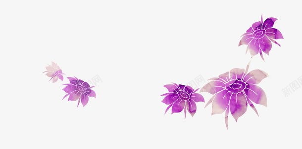 紫色花朵手绘插画png免抠素材_新图网 https://ixintu.com 插画 紫色 花朵