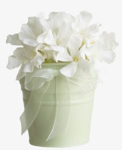 花朵花瓶白色花朵装饰png免抠素材_新图网 https://ixintu.com 白色 花朵 花瓶 装饰