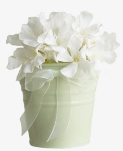 白色花瓶花朵花瓶白色花朵装饰高清图片