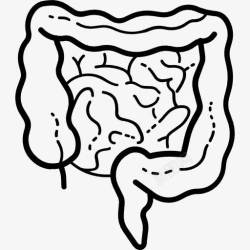 人体小肠肠图标高清图片