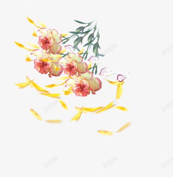 创意教师节海报植物花朵png免抠素材_新图网 https://ixintu.com 创意 教师节 植物 海报 花朵 设计