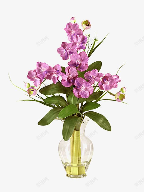 花朵png免抠素材_新图网 https://ixintu.com 植物 紫色 花开