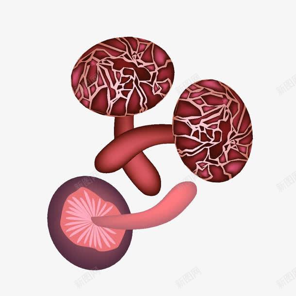 香菇手绘png免抠素材_新图网 https://ixintu.com 可食蘑菇 素食 维生素 菌类 蔬菜 蘑菇 香菇手绘 香菇插画 香菇油菜