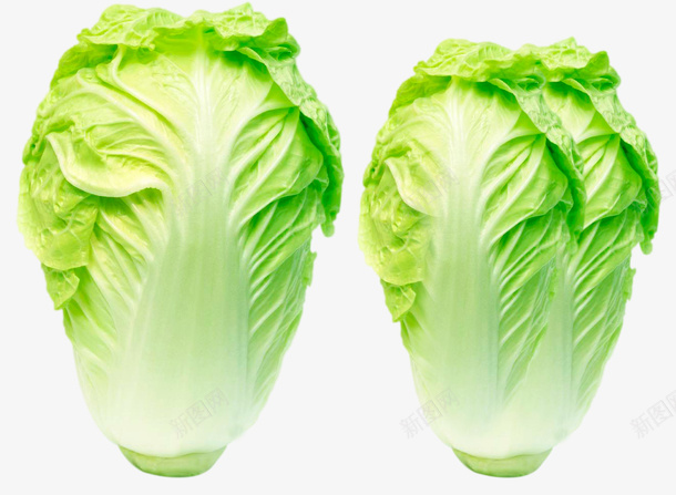 新鲜的两颗大白菜png免抠素材_新图网 https://ixintu.com 大白菜 实物 小白菜 白菜 蔬菜 青菜 高清