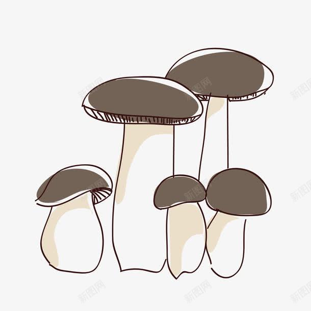 手绘蘑菇png免抠素材_新图网 https://ixintu.com 杏鲍菇 菇 菌类 蘑菇
