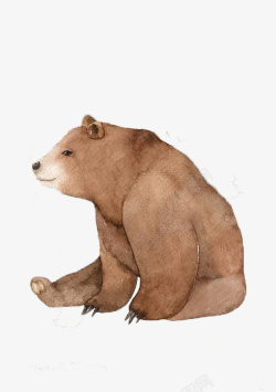 棕熊插画卡通棕熊插画高清图片