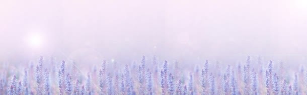 紫色天地jpg设计背景_新图网 https://ixintu.com 天地 紫色