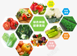 农村合作社蔬菜种植海报元素素材