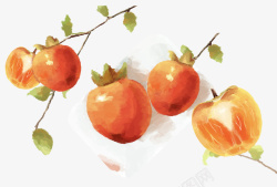 中国风手绘好吃成熟柿子素材