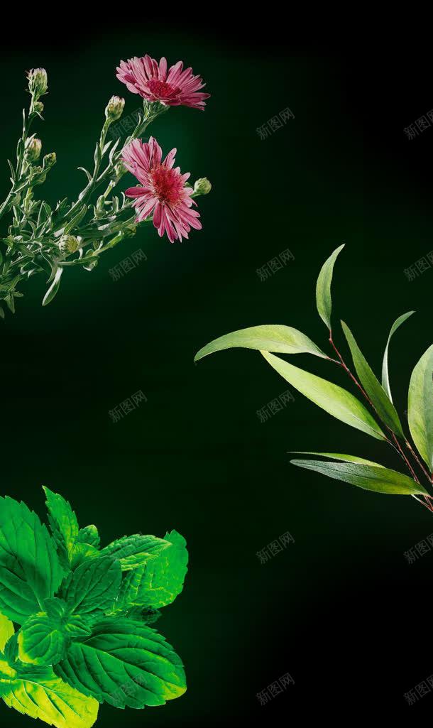 绿色背景粉色花朵绿叶jpg设计背景_新图网 https://ixintu.com 粉色 绿叶 绿色 背景 花朵