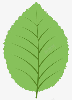 绿色手绘扁平化树叶素材