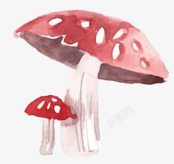 卡通手绘彩色蘑菇素材