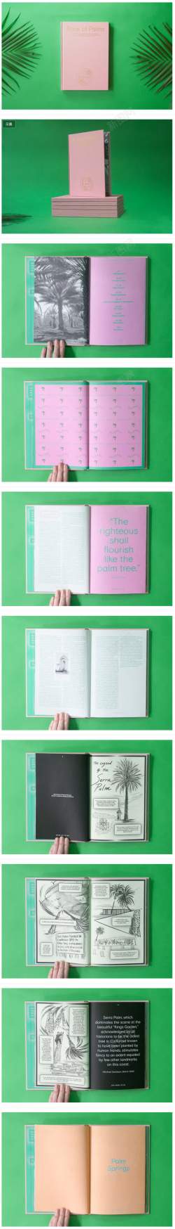 粉色叶片绿色叶片粉色书籍高清图片