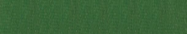 绿色豌豆拌面海报背景jpg设计背景_新图网 https://ixintu.com 海报 绿色 背景 豌豆