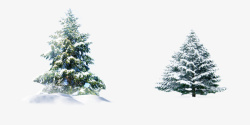 冬日故事展板圣诞树素材