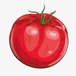 卡通美食装饰插画番茄素材