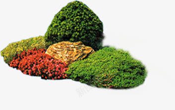 彩色景观植物装饰png免抠素材_新图网 https://ixintu.com 彩色 景观 植物 装饰