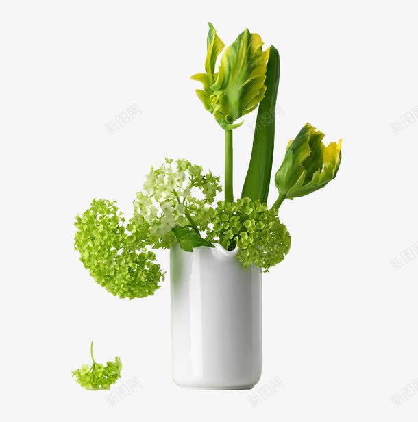 绿色植物花瓶png免抠素材_新图网 https://ixintu.com 植物花花瓶