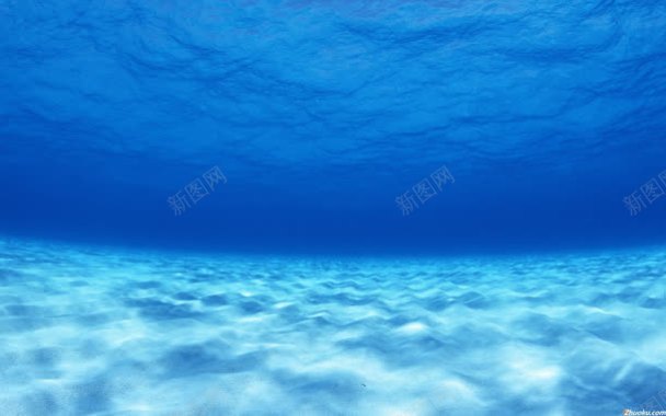 蓝色水下海报背景背景
