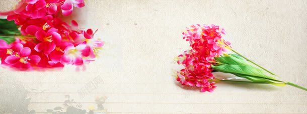 娇艳花朵背景jpg设计背景_新图网 https://ixintu.com 创意 唯美 花朵 花朵背景