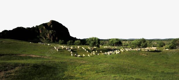 草原上的羊群png免抠素材_新图网 https://ixintu.com 绿色草原 羊群 草原 草原牧场