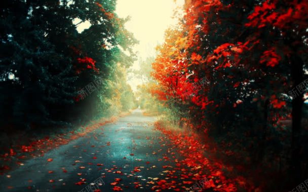 红色梦幻花瓣树林背景