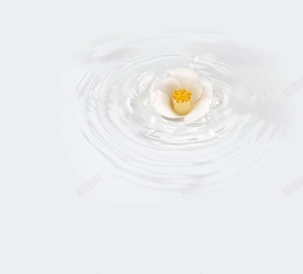 白色梦幻黄色花朵jpg设计背景_新图网 https://ixintu.com 梦幻 白色 花朵 黄色