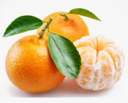 新鲜维C橘子素材