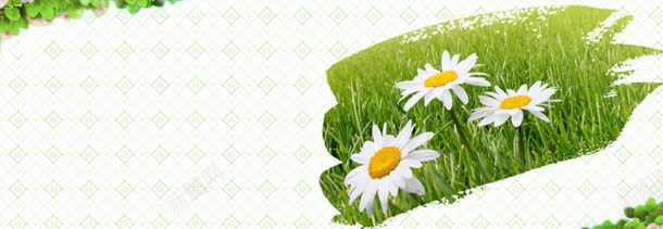 小清新花朵背景jpg设计背景_新图网 https://ixintu.com 淘宝唯美海报背景 清新 清纯 花朵