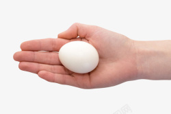 白色鸡蛋手里的初生蛋实物素材