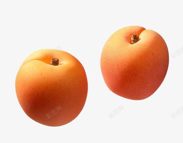 两个杏子png免抠素材_新图网 https://ixintu.com 杏子 水果 红杏 食物 黄色