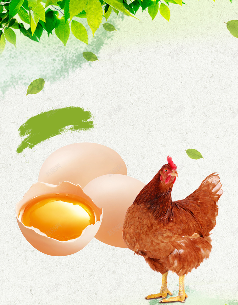 母鸡鸡蛋新鲜土鸡蛋宣传海报背景psd设计背景_新图网 https://ixintu.com 农家土鸡 土特产 新鲜鸡蛋 母鸡 海报背景 温暖 营养鸡蛋 鸡蛋宣传 鸡蛋市场 鸡蛋广告 鸡蛋配送