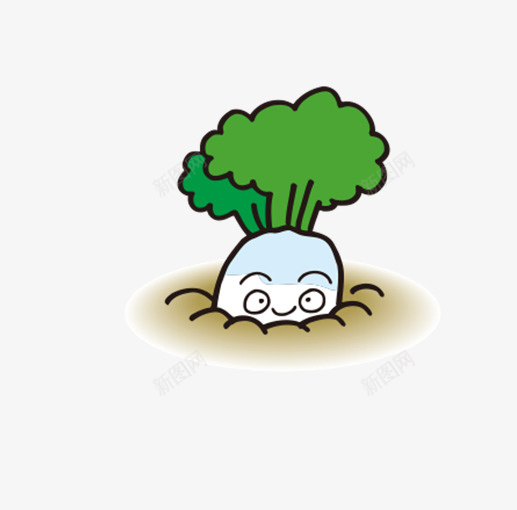 卡通手绘可爱的萝卜png免抠素材_新图网 https://ixintu.com 创意 卡通手绘 可爱的 叶子 白萝卜 绿叶 装饰