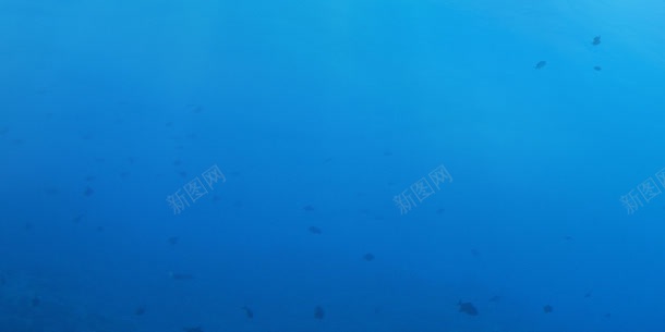 蓝色深海小鱼游泳背景
