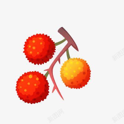 水果png免抠素材_新图网 https://ixintu.com 卡通 可爱 水果 红色 荔枝 黄色