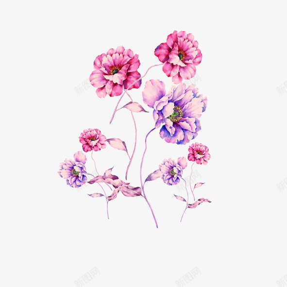 花朵psd免抠素材_新图网 https://ixintu.com 网页设计 花朵 装饰
