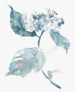 水墨叶片蓝色水墨画花朵叶片手绘插画高清图片