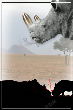 环保招贴犀牛保护野生动物善待动物海报背景高清图片