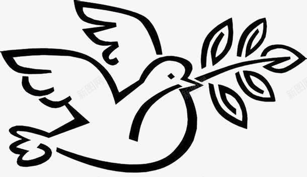 橄榄枝和平鸽手绘png免抠素材_新图网 https://ixintu.com 和平鸽 手绘 橄榄枝 简笔画