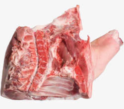 大块榴莲果肉一大块猪前腿肉高清图片