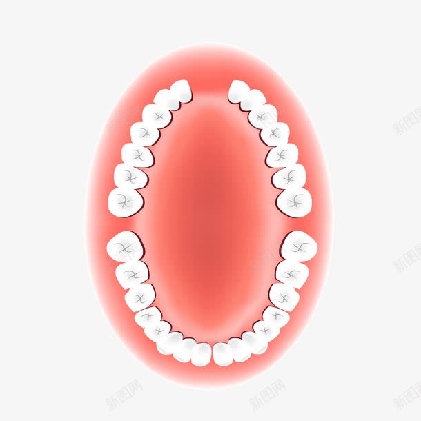 红色口腔医疗牙齿png免抠素材_新图网 https://ixintu.com 医疗 口腔 口腔医疗 牙齿 红色