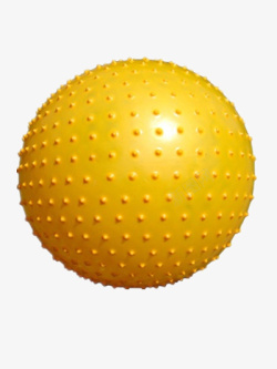 小刺球黄色刺球高清图片