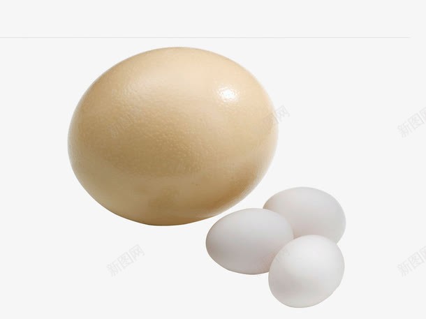 鸵鸟蛋和鸡蛋png免抠素材_新图网 https://ixintu.com 土鸡蛋 实物 新鲜鸵鸟蛋 营养 蛋 蛋类 鸵鸟 鸵鸟蛋 鸵鸟蛋和鸡蛋