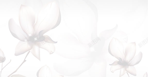 白色素雅花植物jpg设计背景_新图网 https://ixintu.com 植物 白色 素材 素雅